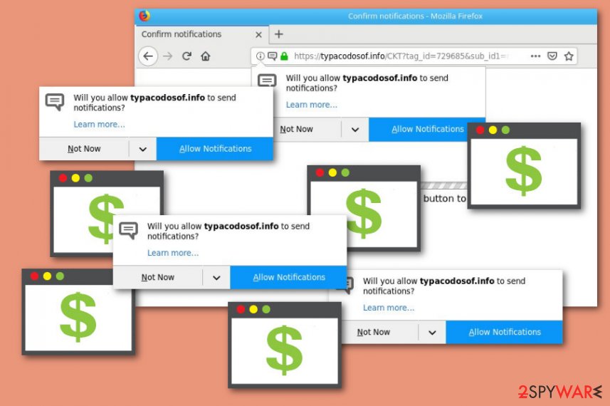 Typacodosof.info potentially unwanted program