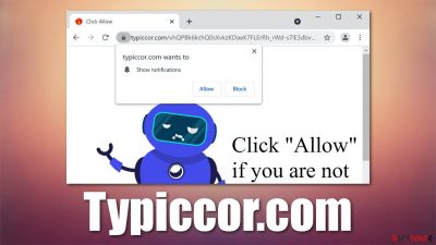 Typiccor.com 