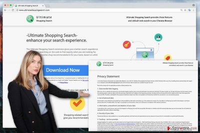 The picture of Ultimate Shopping Search virus