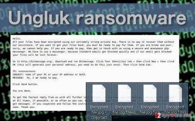 Picture of the Ungluk ransomware
