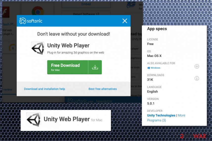 What Does Unity Web Player Do