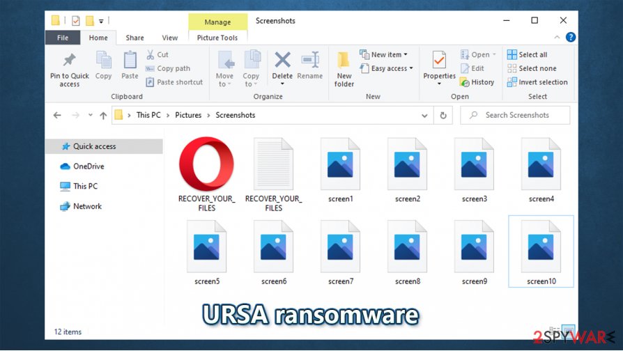 Ursa virus encrypted files
