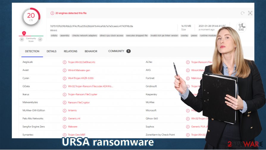 Ursa ransomware virus