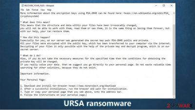Ursa 1.0 ransomware