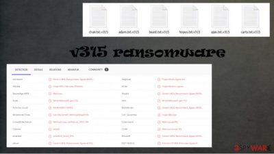 v315 ransomware