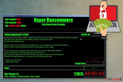 Vapor virus