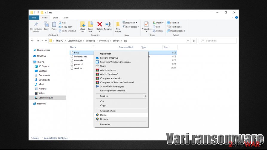 Vari files virus hosts file