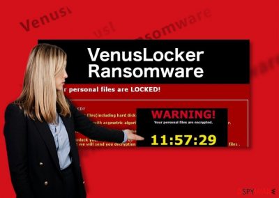 An illustration of the VenusLocker ransomware