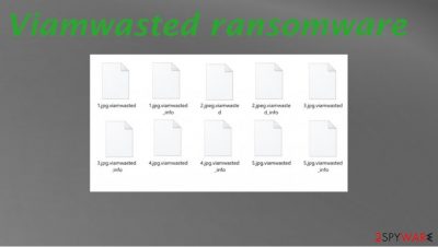 Viamwasted ransomware