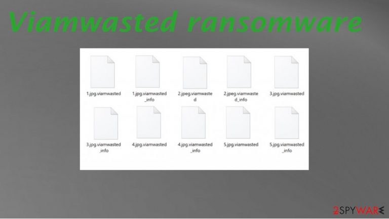Viamwasted ransomware