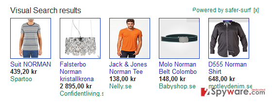Visual Search results virus snapshot Visual Search results virus snapshot