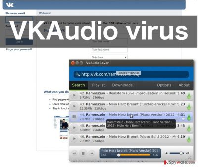 An image of VKAudio virus