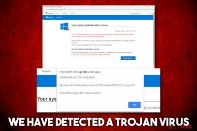 We have detected a Trojan virus