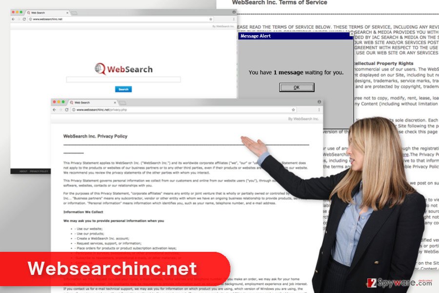 The illustration of Websearchinc.net virus The illustration of Websearchinc.net virus