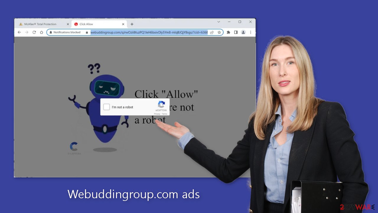 Webuddingroup.com ads