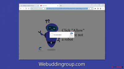 Webuddingroup.com