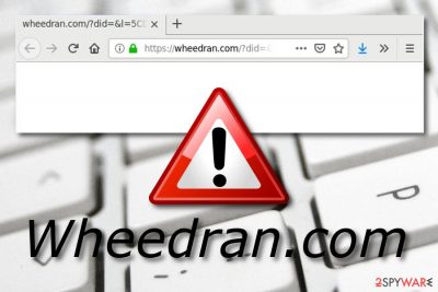 Wheedran.com