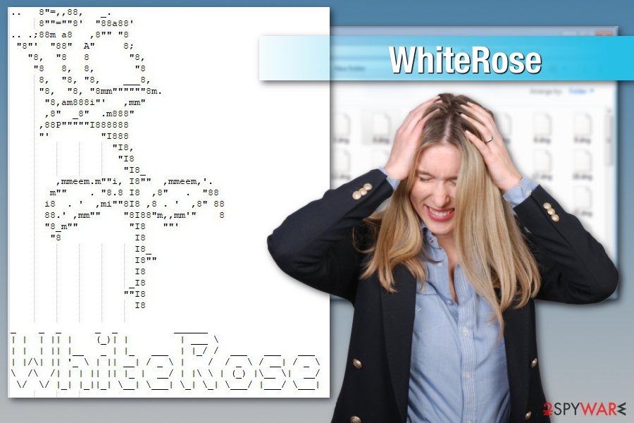 WhiteRose ransomware attack