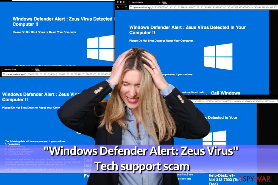 Zeus Virus scam - fake Tech support messages