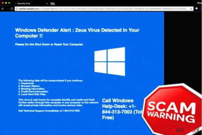 "Windows Defender Alert: Zeus Virus" Tech support scam