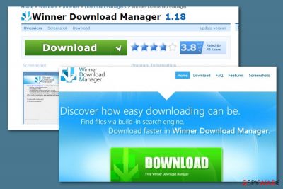 Winner Download Manager virus