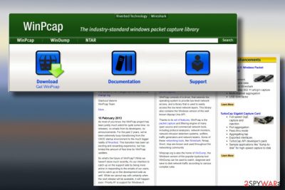 A picture of WinPcap adware