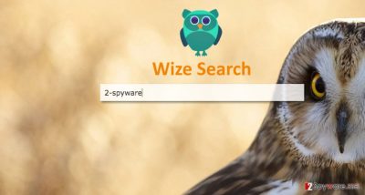 A screenshot of the Wizesearch.com browser hijacker virus 