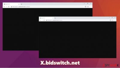 X.bidswitch.net