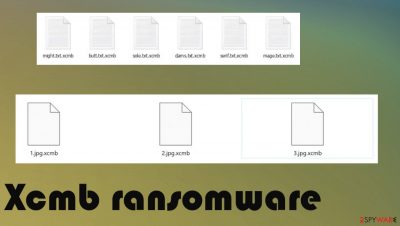 Xcmb ransomware