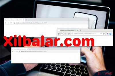 Xilbalar.com