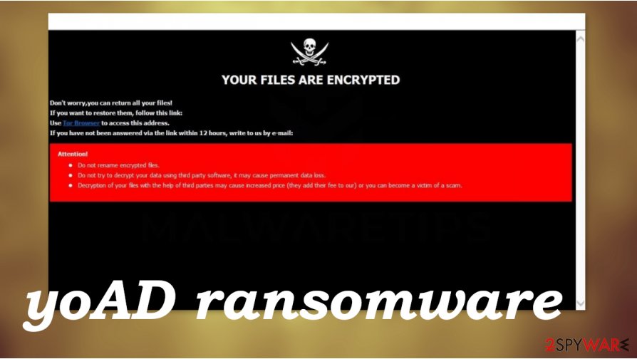 How to Remove Ransomware & Recover Data: Expert Guide