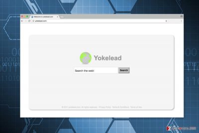 Screenshot of Yokelead.com