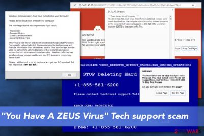 "You Have A ZEUS" scam virus