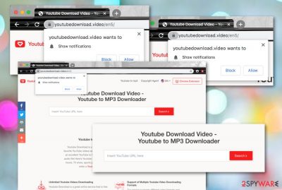 Youtubedownload.video PUP