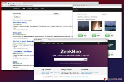 The image of ZeekBee.com virus