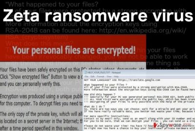 A ransom note illustration of the Zeta ransomware virus