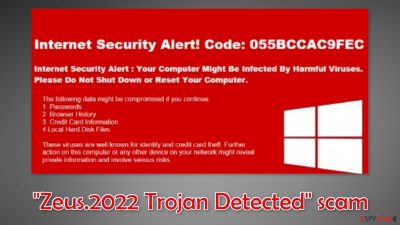 Zeus.2022 Trojan Detected scam