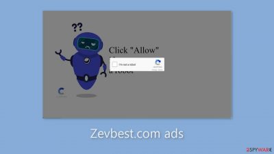 Zevbest.com ads