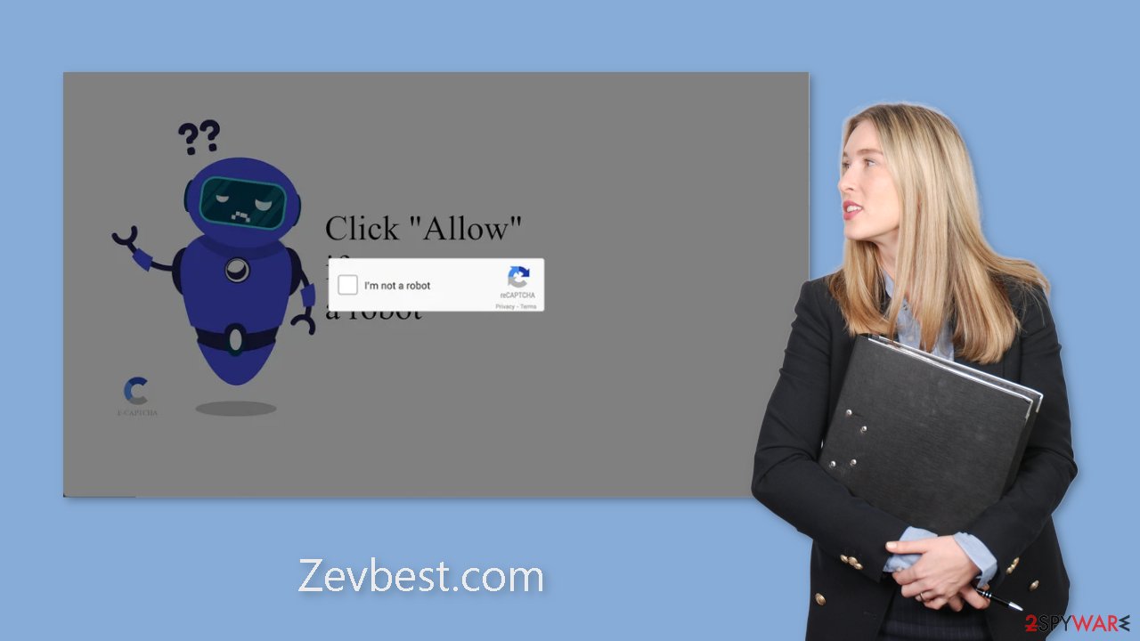 Zevbest.com