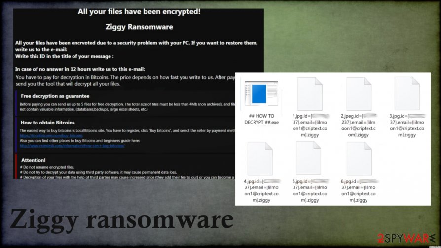Ziggy ransomware