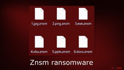 Znsm ransomware