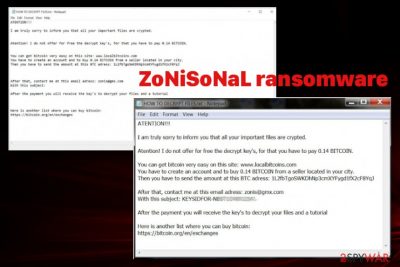 ZoNiSoNaL ransomware