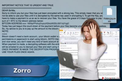 Zorro ransomware virus