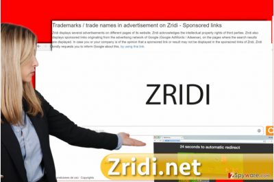 Zridi.net virus