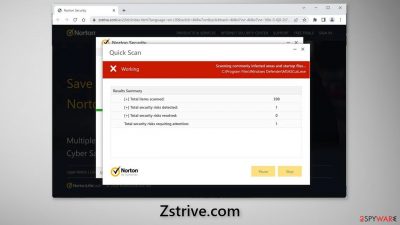 Zstrive.com