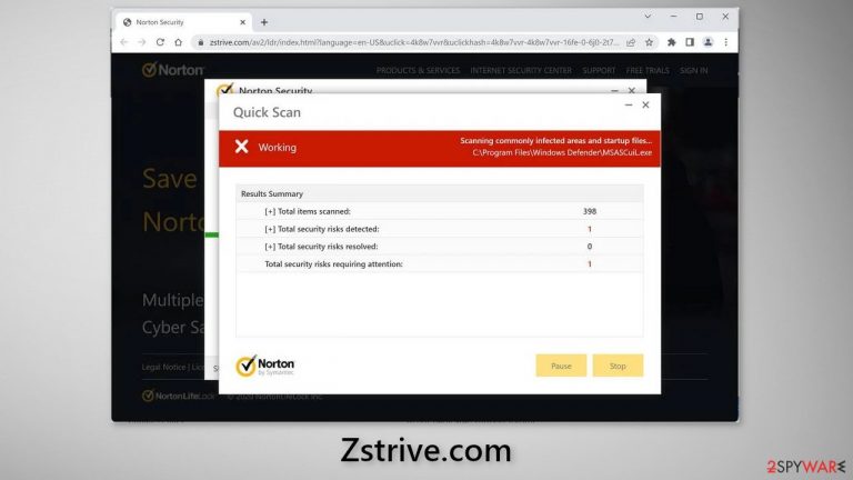 Zstrive.com
