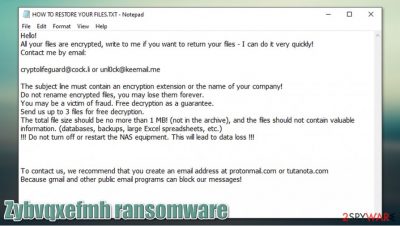 Zybvqxefmh ransomware