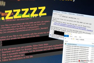 Snapshots of the .zzzzz file extension virus