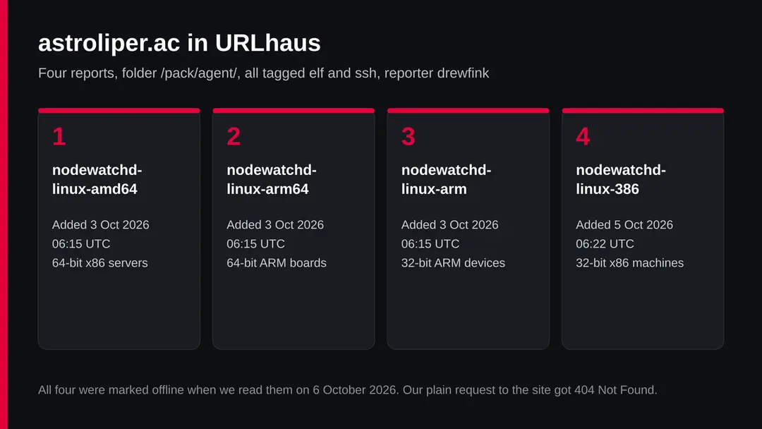 Table of four URLhaus entries for astroliper.ac: nodewatchd builds for amd64, arm64, arm and 386, tagged elf and ssh, all offline