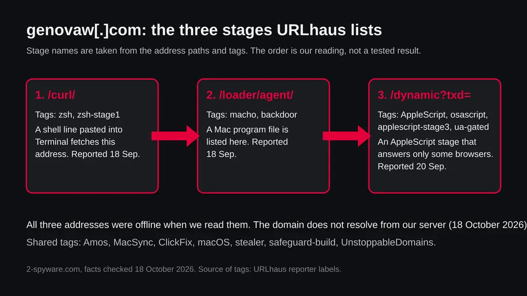 Three boxes showing the stages URLhaus lists for genovaw.com: a curl shell script, a Mach-O loader agent and an AppleScript stage